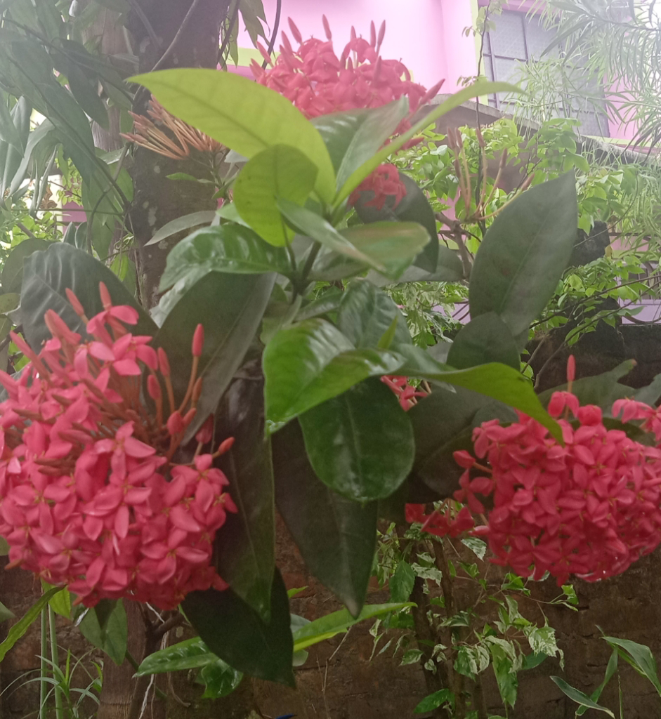 হাতছানি