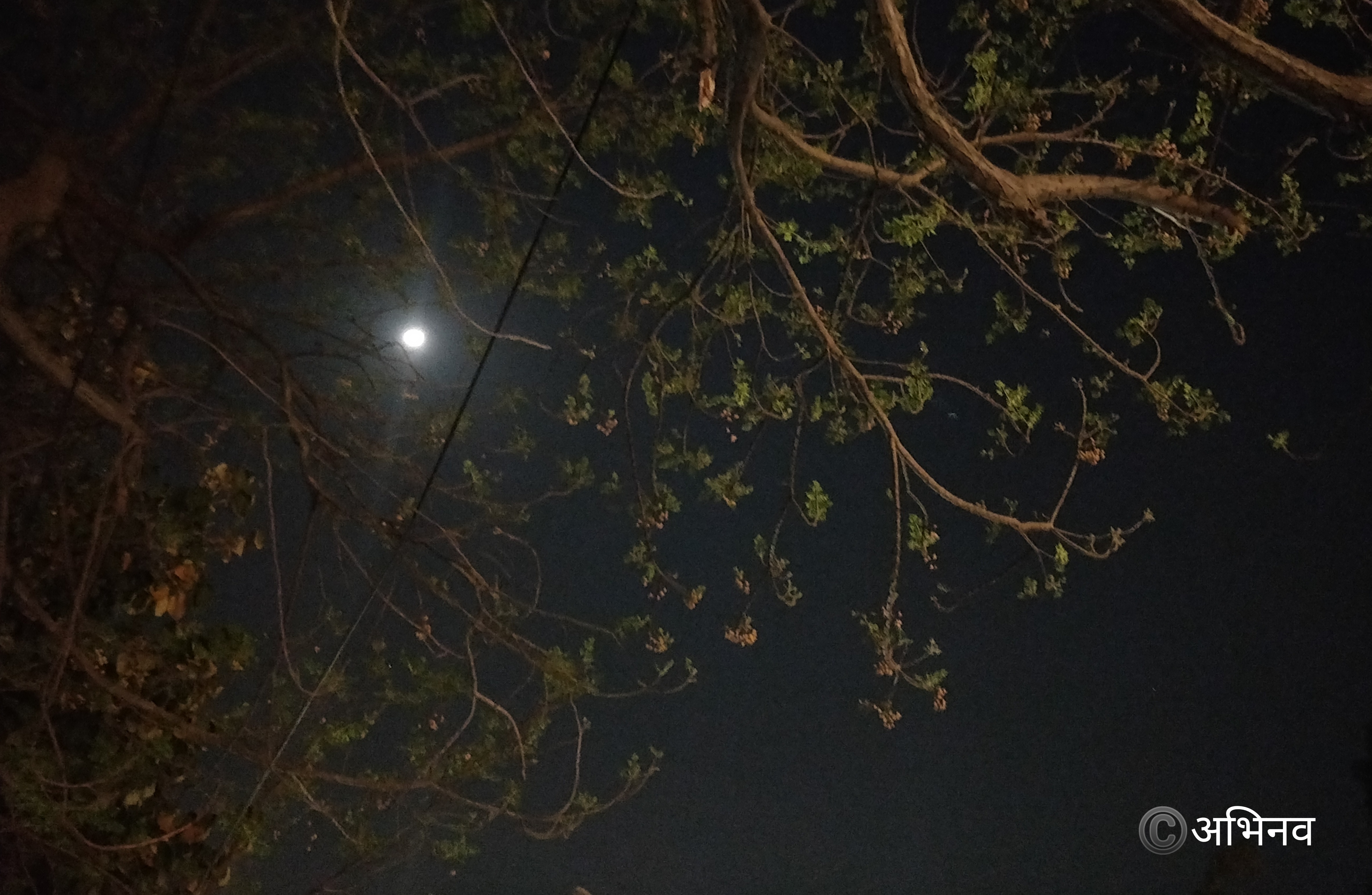 बिना उनके