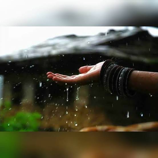 उड़ते परिंदे