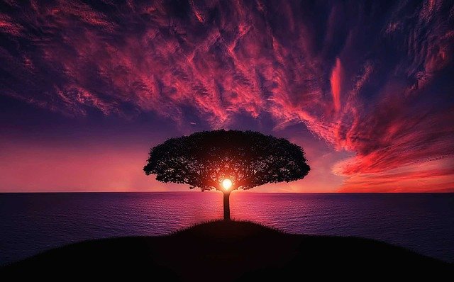 The Solace of Solitude