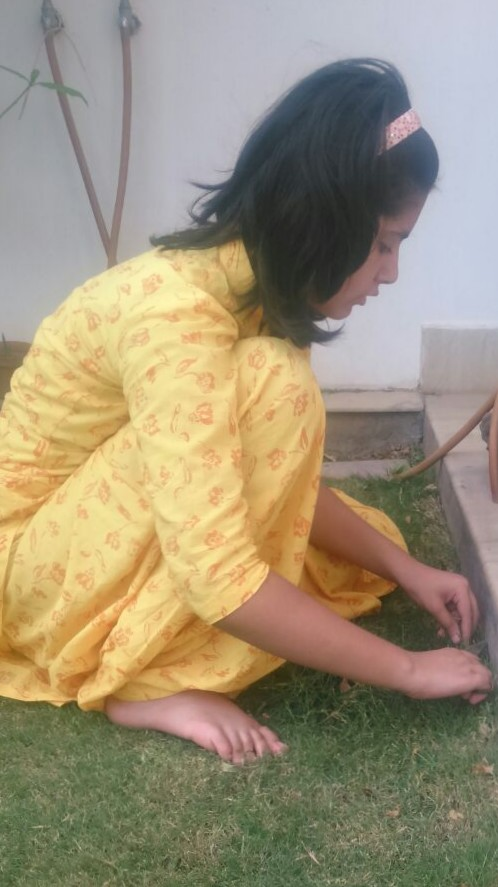 ऋतु रंग