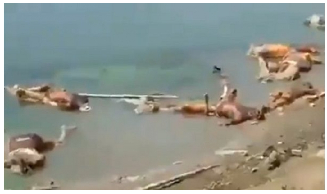 बहती लाशें, जलती चिताये