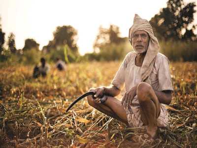 किसानो की दुर्दशा बयां करती है इन साहित्यकारों की रचनाएं