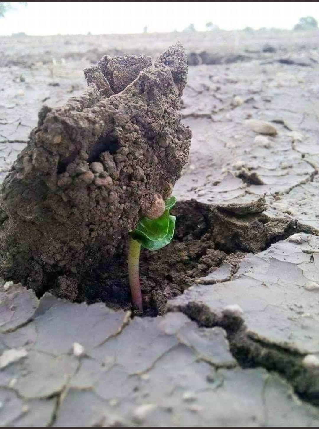मुश्किलों के आगे मुकाम है