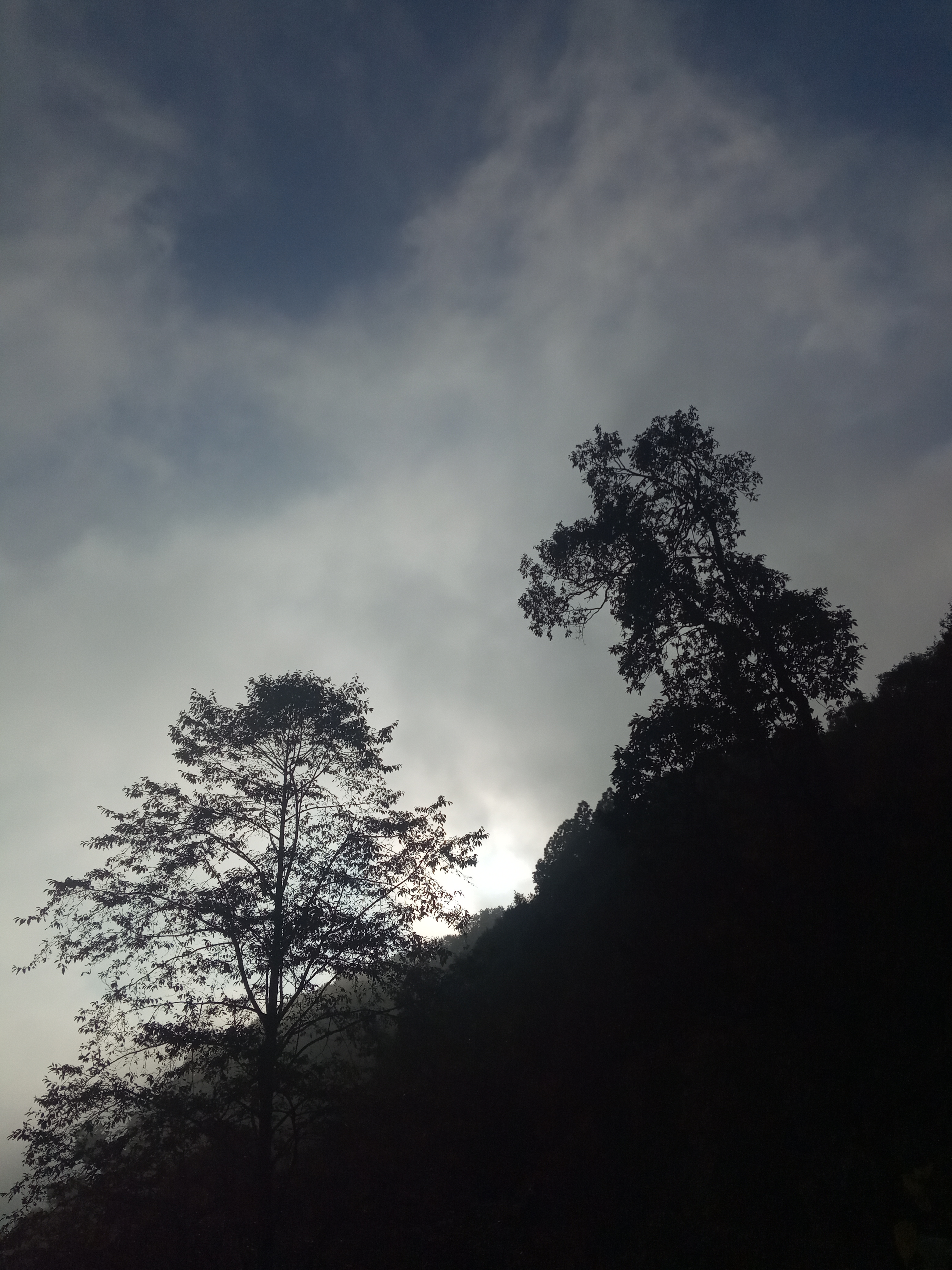 ताईजी