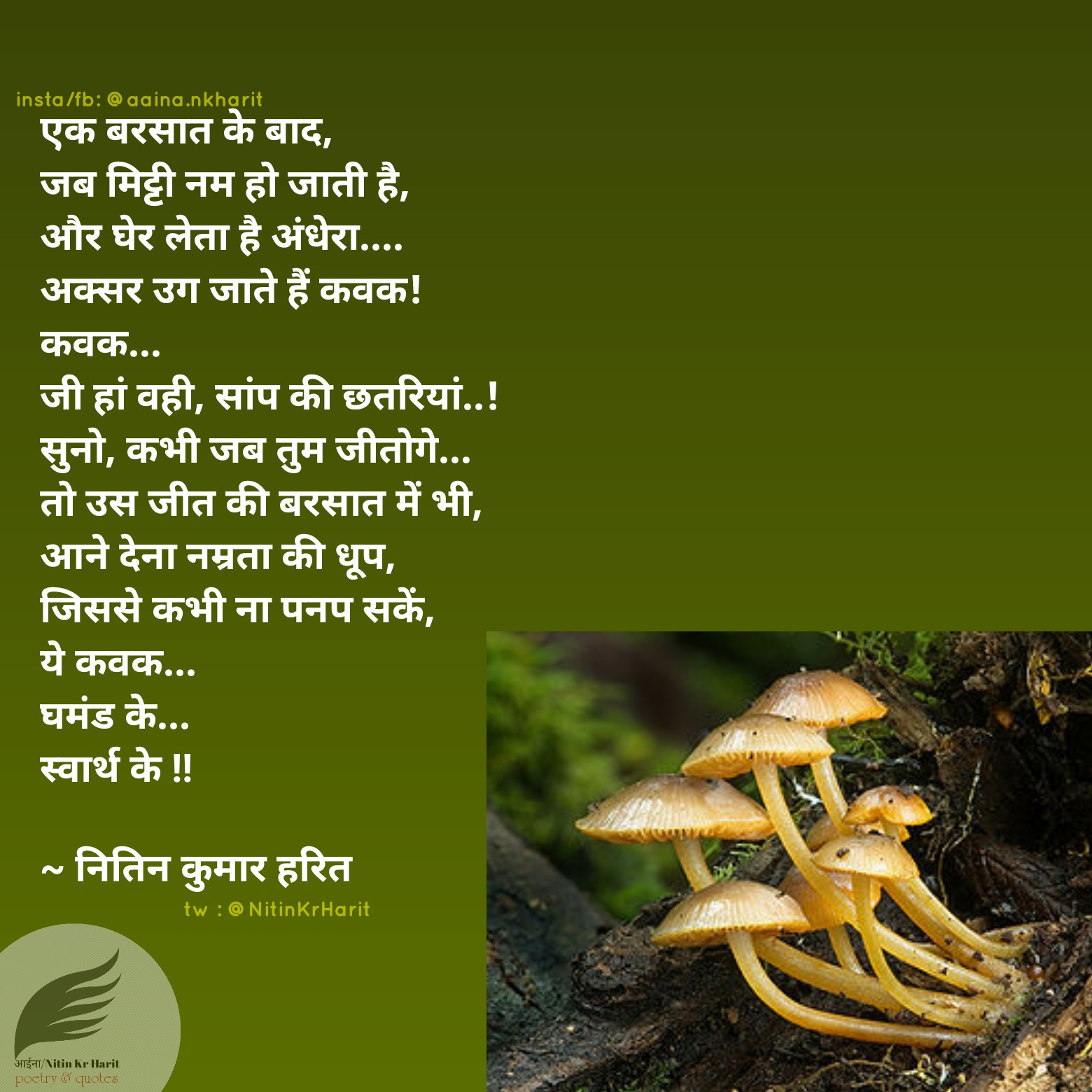 कवक