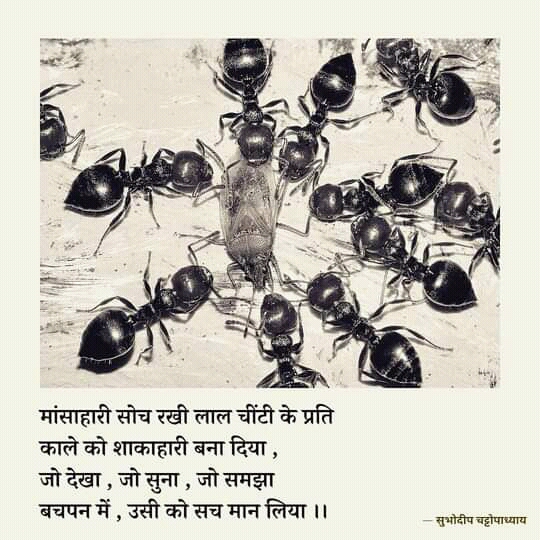 चींटी