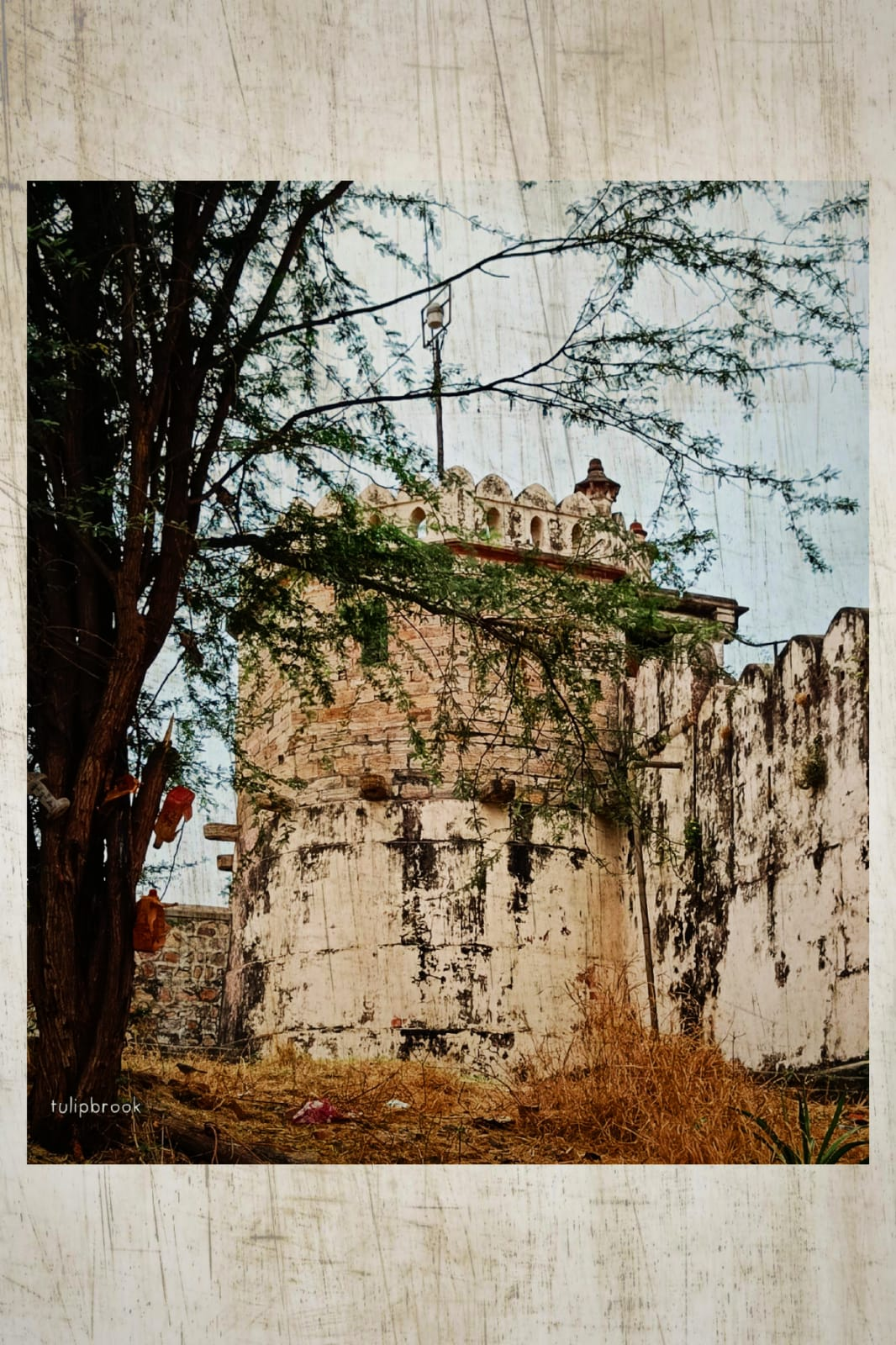 इमारत