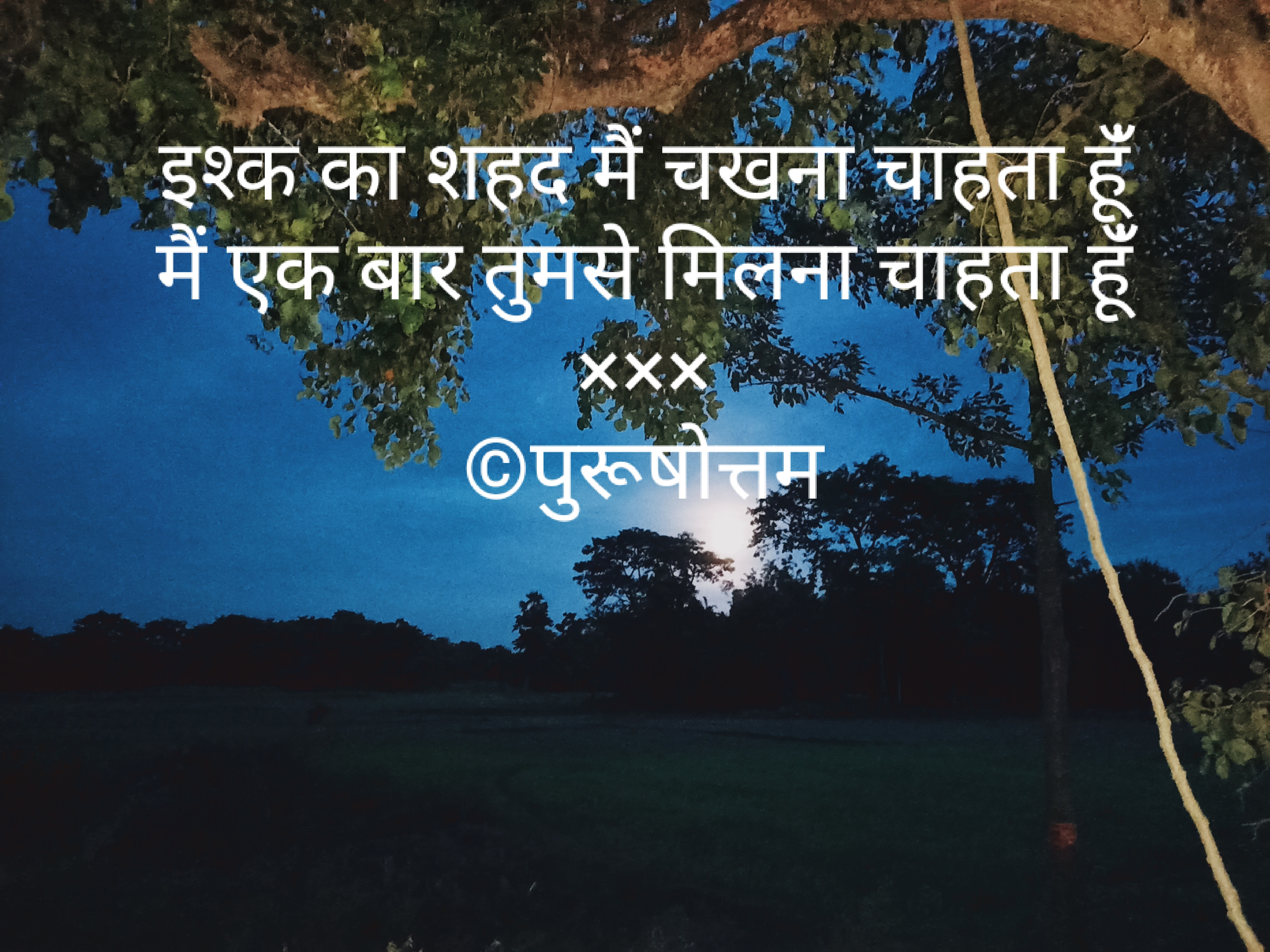 इश्क का शहद मैं चखना चाहता हूंँ