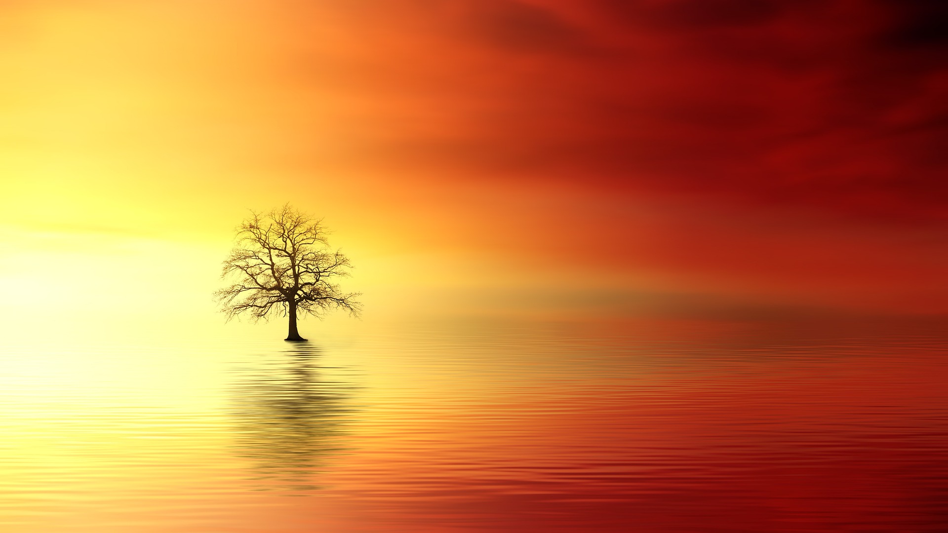 Burning Bright