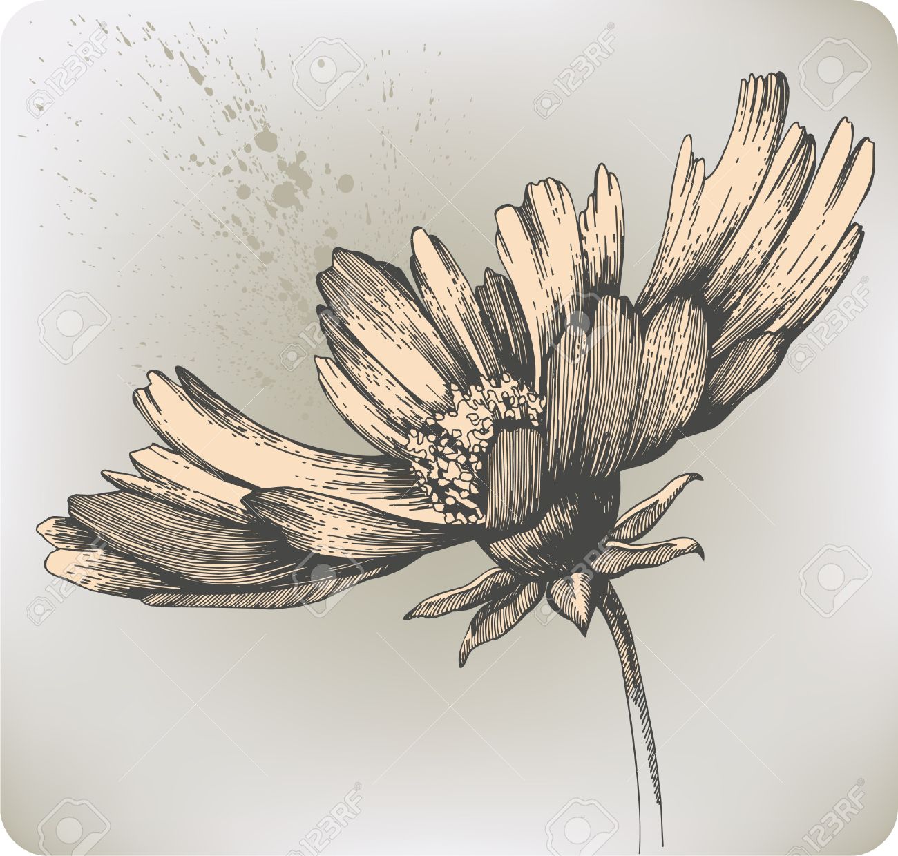 Let me bloom