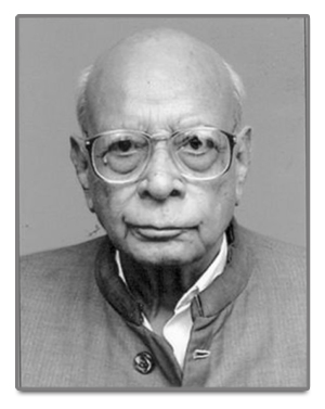 Hasan Abidi's image