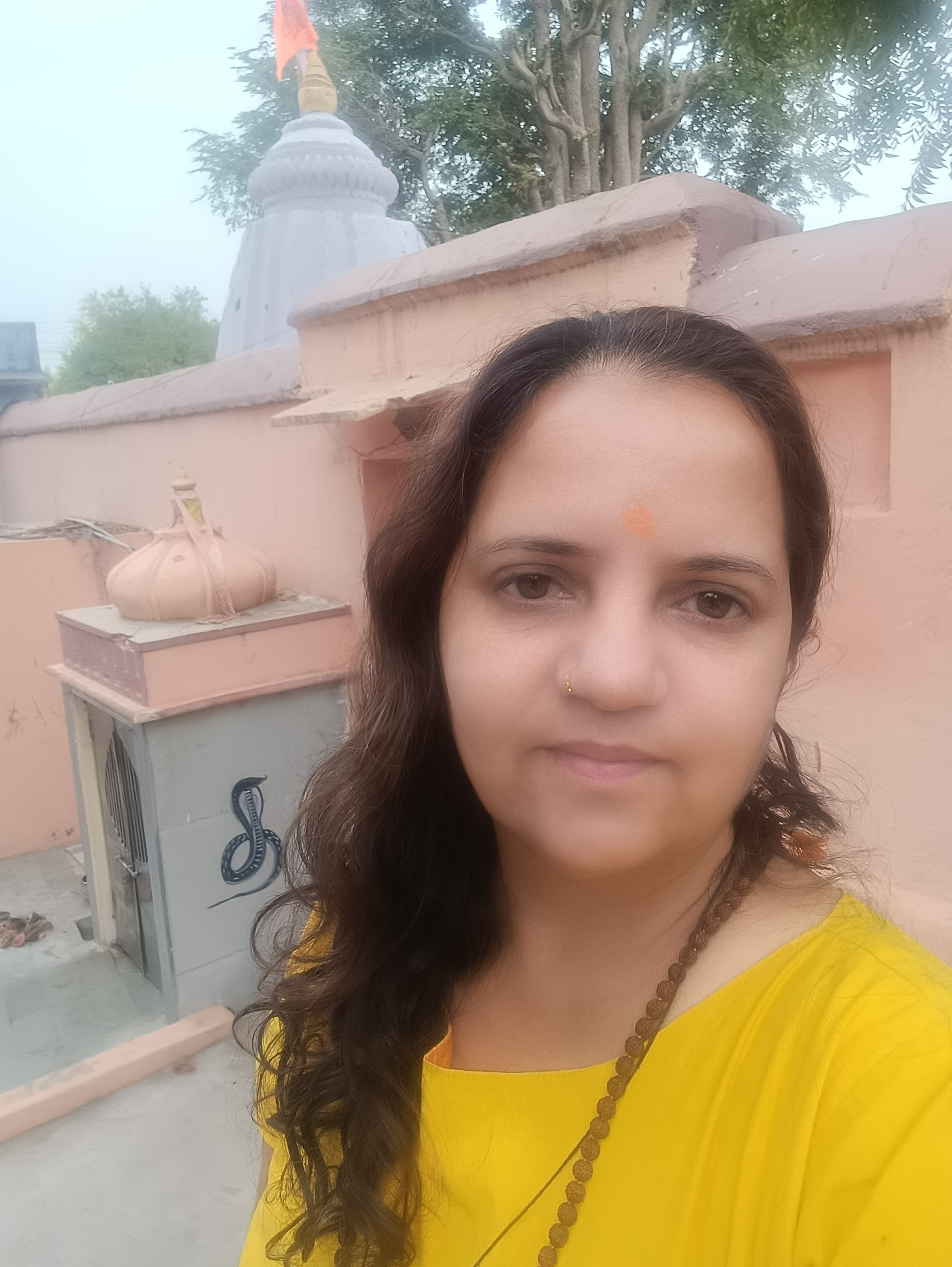 bhavnakumarivyas