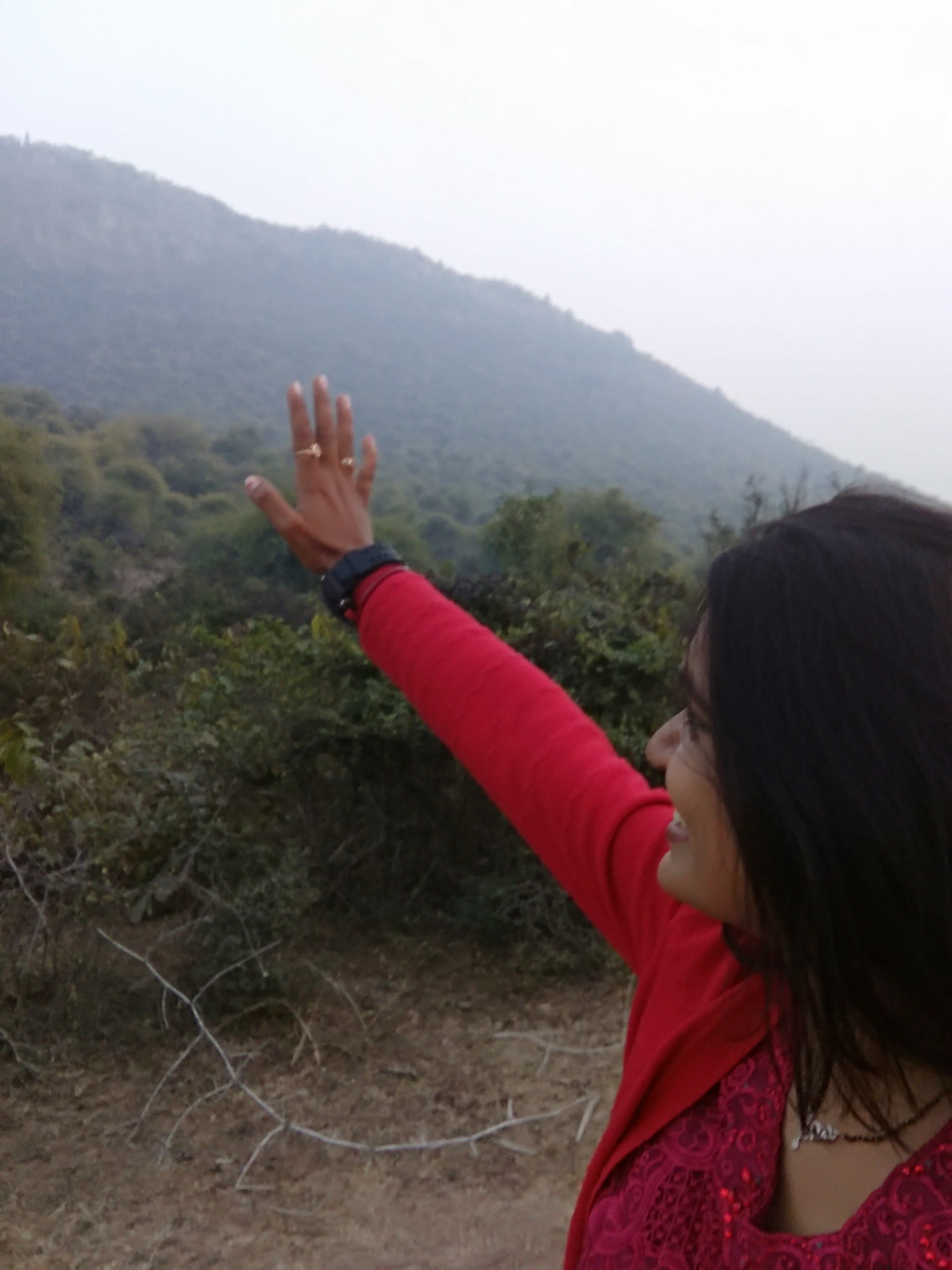 ©️ दामिनी नारायण सिंह