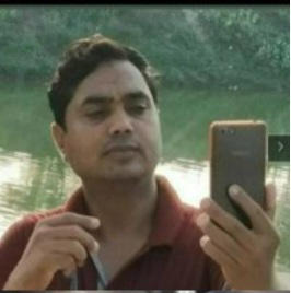 हरिशंकर सिंह सारांश