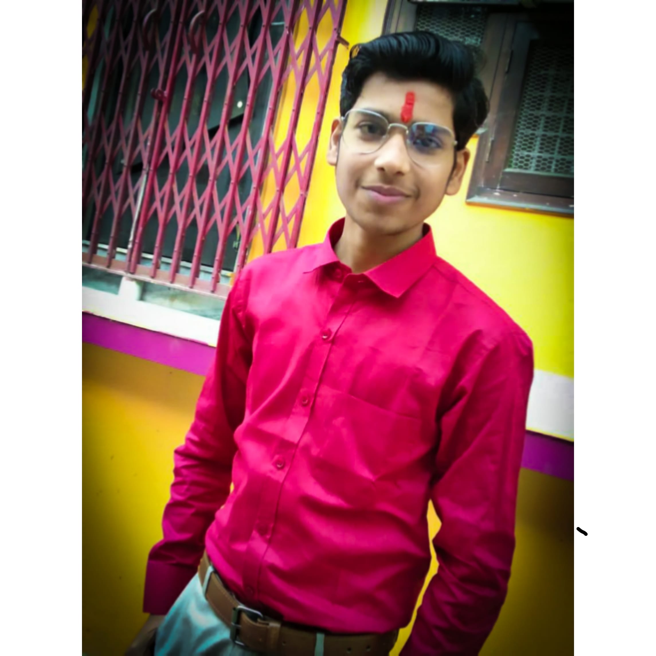 Vishal N. Pandey